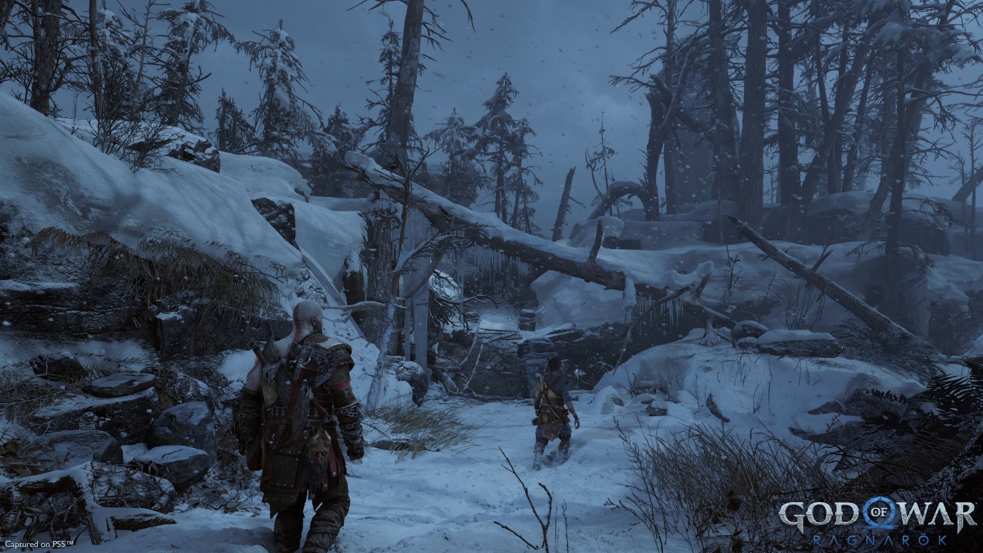 Father and son, talking through inhospitable land: one of the many themes that is beautifully treated.