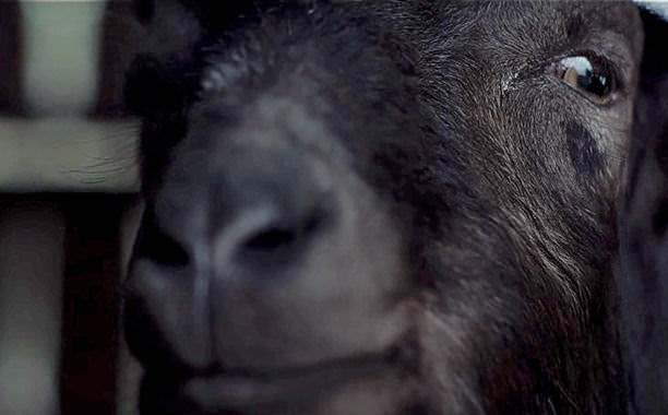 the-witch-goat_0